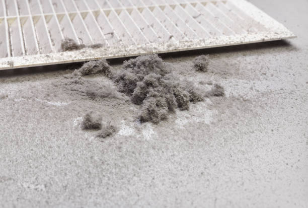 Home Air Vent Cleaning in NM