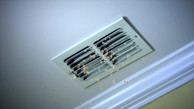 Emergency Air Duct Cleaning in NM