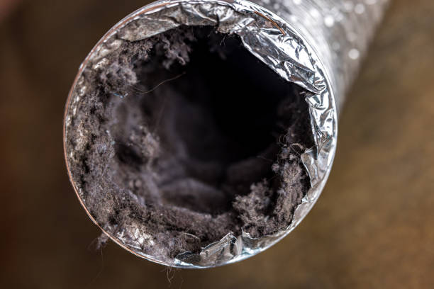Air Duct Mold Removal in NM