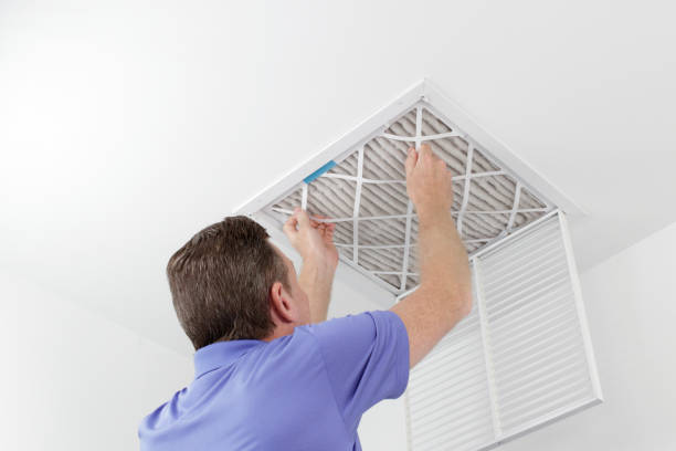 Best Local Air Duct Cleaning Services  in La Luz, NM